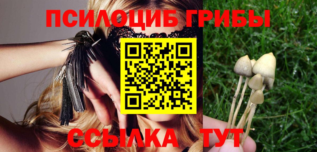 Псилоцибиновые грибы Psilocybe Жигулёвск