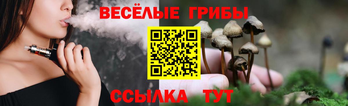 Псилоцибиновые грибы GOLDEN TEACHER  Галлюциногенные грибы Psilocybe  Жигулёвск  Вход с VPN 